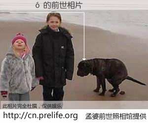 #孟婆前世照相馆# 【������ 的前世相片】我们都曾从奈何桥上走过，喝下三碗忘川之水烹煮的孟婆汤，忘却了前尘旧事。孟婆前世照相馆，保存着你前世的数码相片。������ 的前世相片，有图有真相：
