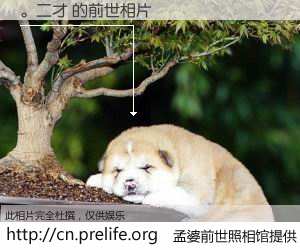 #孟婆前世照相馆# 【。二才 的前世相片】我们都曾从奈何桥上走过，喝下三碗忘川之水烹煮的孟婆汤，忘却了前尘旧事。孟婆前世照相馆，保存着你前世的数码相片。。二才 的前世相片，有图有真相：