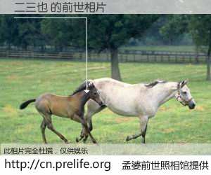 #孟婆前世照相馆# 【二三也 的前世相片】我们都曾从奈何桥上走过，喝下三碗忘川之水烹煮的孟婆汤，忘却了前尘旧事。孟婆前世照相馆，保存着你前世的数码相片。二三也 的前世相片，有图有真相：