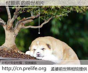 #孟婆前世照相馆# 【付颜培 的前世相片】我们都曾从奈何桥上走过，喝下三碗忘川之水烹煮的孟婆汤，忘却了前尘旧事。孟婆前世照相馆，保存着你前世的数码相片。付颜培 的前世相片，有图有真相：