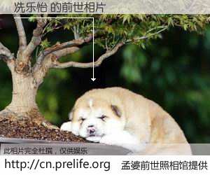 #孟婆前世照相馆# 【冼乐怡 的前世相片】我们都曾从奈何桥上走过，喝下三碗忘川之水烹煮的孟婆汤，忘却了前尘旧事。孟婆前世照相馆，保存着你前世的数码相片。冼乐怡 的前世相片，有图有真相：