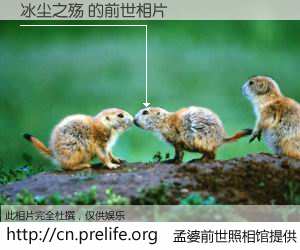 #孟婆前世照相馆# 【冰尘之殇 的前世相片】我们都曾从奈何桥上走过，喝下三碗忘川之水烹煮的孟婆汤，忘却了前尘旧事。孟婆前世照相馆，保存着你前世的数码相片。冰尘之殇 的前世相片，有图有真相：