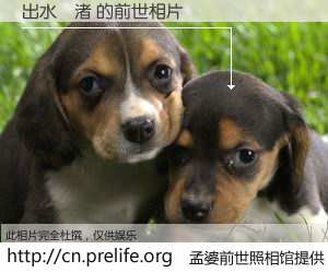 #孟婆前世照相馆# 【出水　渚 的前世相片】我们都曾从奈何桥上走过，喝下三碗忘川之水烹煮的孟婆汤，忘却了前尘旧事。孟婆前世照相馆，保存着你前世的数码相片。出水　渚 的前世相片，有图有真相：