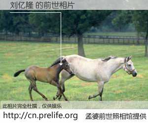 #孟婆前世照相馆# 【刘亿隆 的前世相片】我们都曾从奈何桥上走过，喝下三碗忘川之水烹煮的孟婆汤，忘却了前尘旧事。孟婆前世照相馆，保存着你前世的数码相片。刘亿隆 的前世相片，有图有真相：