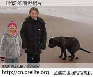 #孟婆前世照相馆# 【叶繁 的前世相片】我们都曾从奈何桥上走过，喝下三碗忘川之水烹煮的孟婆汤，忘却了前尘旧事。孟婆前世照相馆，保存着你前世的数码相片。叶繁 的前世相片，有图有真相：