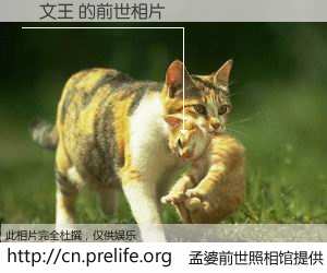 #孟婆前世照相馆# 【吳文王 的前世相片】我们都曾从奈何桥上走过，喝下三碗忘川之水烹煮的孟婆汤，忘却了前尘旧事。孟婆前世照相馆，保存着你前世的数码相片。吳文王 的前世相片，有图有真相：
