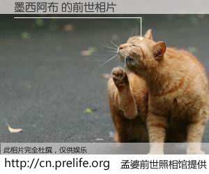 #孟婆前世照相馆# 【墨西阿布 的前世相片】我们都曾从奈何桥上走过，喝下三碗忘川之水烹煮的孟婆汤，忘却了前尘旧事。孟婆前世照相馆，保存着你前世的数码相片。墨西阿布 的前世相片，有图有真相：