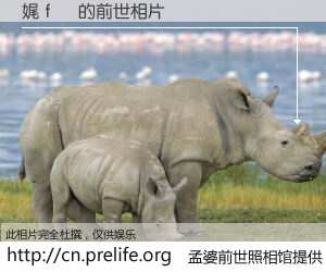 #孟婆前世照相馆# 【娓ｆ敾 的前世相片】我们都曾从奈何桥上走过，喝下三碗忘川之水烹煮的孟婆汤，忘却了前尘旧事。孟婆前世照相馆，保存着你前世的数码相片。娓ｆ敾 的前世相片，有图有真相：