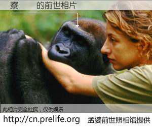 #孟婆前世照相馆# 【寮犵弲 的前世相片】我们都曾从奈何桥上走过，喝下三碗忘川之水烹煮的孟婆汤，忘却了前尘旧事。孟婆前世照相馆，保存着你前世的数码相片。寮犵弲 的前世相片，有图有真相：