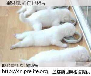 #孟婆前世照相馆# 【崔洪航 的前世相片】我们都曾从奈何桥上走过，喝下三碗忘川之水烹煮的孟婆汤，忘却了前尘旧事。孟婆前世照相馆，保存着你前世的数码相片。崔洪航 的前世相片，有图有真相：