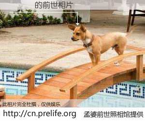 #孟婆前世照相馆# 【張曉綾 的前世相片】我们都曾从奈何桥上走过，喝下三碗忘川之水烹煮的孟婆汤，忘却了前尘旧事。孟婆前世照相馆，保存着你前世的数码相片。張曉綾 的前世相片，有图有真相：