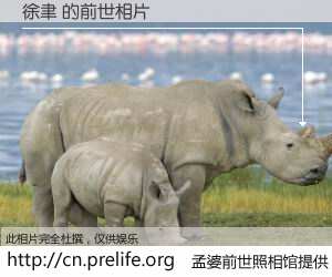 #孟婆前世照相馆# 【徐聿 的前世相片】我们都曾从奈何桥上走过，喝下三碗忘川之水烹煮的孟婆汤，忘却了前尘旧事。孟婆前世照相馆，保存着你前世的数码相片。徐聿 的前世相片，有图有真相：