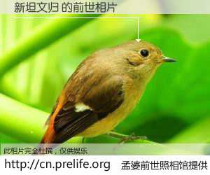 #孟婆前世照相馆# 【新坦文归 的前世相片】我们都曾从奈何桥上走过，喝下三碗忘川之水烹煮的孟婆汤，忘却了前尘旧事。孟婆前世照相馆，保存着你前世的数码相片。新坦文归 的前世相片，有图有真相：