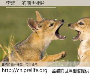 #孟婆前世照相馆# 【李沛縈 的前世相片】我们都曾从奈何桥上走过，喝下三碗忘川之水烹煮的孟婆汤，忘却了前尘旧事。孟婆前世照相馆，保存着你前世的数码相片。李沛縈 的前世相片，有图有真相：