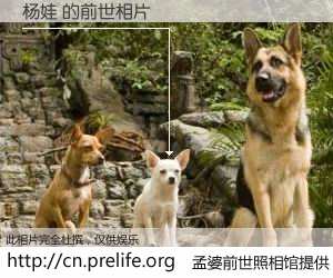 #孟婆前世照相馆# 【杨娃 的前世相片】我们都曾从奈何桥上走过，喝下三碗忘川之水烹煮的孟婆汤，忘却了前尘旧事。孟婆前世照相馆，保存着你前世的数码相片。杨娃 的前世相片，有图有真相：