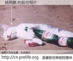 #孟婆前世照相馆# 【杨雨飘 的前世相片】我们都曾从奈何桥上走过，喝下三碗忘川之水烹煮的孟婆汤，忘却了前尘旧事。孟婆前世照相馆，保存着你前世的数码相片。杨雨飘 的前世相片，有图有真相：