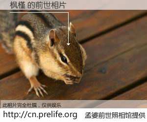 #孟婆前世照相馆# 【枫槿 的前世相片】我们都曾从奈何桥上走过，喝下三碗忘川之水烹煮的孟婆汤，忘却了前尘旧事。孟婆前世照相馆，保存着你前世的数码相片。枫槿 的前世相片，有图有真相：