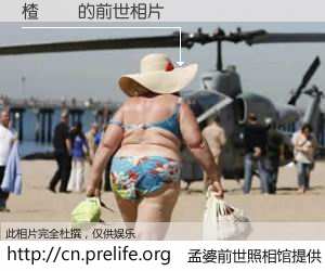 #孟婆前世照相馆# 【楂樿緣 的前世相片】我们都曾从奈何桥上走过，喝下三碗忘川之水烹煮的孟婆汤，忘却了前尘旧事。孟婆前世照相馆，保存着你前世的数码相片。楂樿緣 的前世相片，有图有真相：