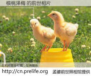 #孟婆前世照相馆# 【核桃泽梅 的前世相片】我们都曾从奈何桥上走过，喝下三碗忘川之水烹煮的孟婆汤，忘却了前尘旧事。孟婆前世照相馆，保存着你前世的数码相片。核桃泽梅 的前世相片，有图有真相：