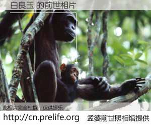 #孟婆前世照相馆# 【白良玉 的前世相片】我们都曾从奈何桥上走过，喝下三碗忘川之水烹煮的孟婆汤，忘却了前尘旧事。孟婆前世照相馆，保存着你前世的数码相片。白良玉 的前世相片，有图有真相：