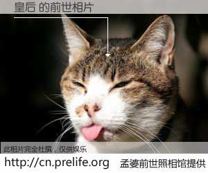 #孟婆前世照相馆# 【皇后 的前世相片】我们都曾从奈何桥上走过，喝下三碗忘川之水烹煮的孟婆汤，忘却了前尘旧事。孟婆前世照相馆，保存着你前世的数码相片。皇后 的前世相片，有图有真相：