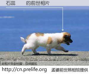 #孟婆前世照相馆# 【石蕊試紙 的前世相片】我们都曾从奈何桥上走过，喝下三碗忘川之水烹煮的孟婆汤，忘却了前尘旧事。孟婆前世照相馆，保存着你前世的数码相片。石蕊試紙 的前世相片，有图有真相：