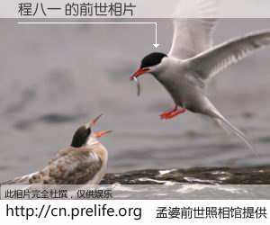 #孟婆前世照相馆# 【程八一 的前世相片】我们都曾从奈何桥上走过，喝下三碗忘川之水烹煮的孟婆汤，忘却了前尘旧事。孟婆前世照相馆，保存着你前世的数码相片。程八一 的前世相片，有图有真相：