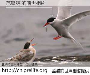 #孟婆前世照相馆# 【范铃结 的前世相片】我们都曾从奈何桥上走过，喝下三碗忘川之水烹煮的孟婆汤，忘却了前尘旧事。孟婆前世照相馆，保存着你前世的数码相片。范铃结 的前世相片，有图有真相：