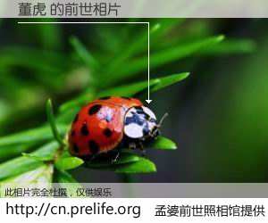 #孟婆前世照相馆# 【董虎 的前世相片】我们都曾从奈何桥上走过，喝下三碗忘川之水烹煮的孟婆汤，忘却了前尘旧事。孟婆前世照相馆，保存着你前世的数码相片。董虎 的前世相片，有图有真相：