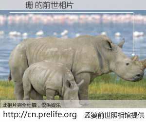 #孟婆前世照相馆# 【許嫚珊 的前世相片】我们都曾从奈何桥上走过，喝下三碗忘川之水烹煮的孟婆汤，忘却了前尘旧事。孟婆前世照相馆，保存着你前世的数码相片。許嫚珊 的前世相片，有图有真相：