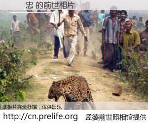 #孟婆前世照相馆# 【許雲忠 的前世相片】我们都曾从奈何桥上走过，喝下三碗忘川之水烹煮的孟婆汤，忘却了前尘旧事。孟婆前世照相馆，保存着你前世的数码相片。許雲忠 的前世相片，有图有真相：