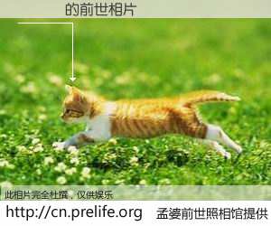 #孟婆前世照相馆# 【賴麗靜 的前世相片】我们都曾从奈何桥上走过，喝下三碗忘川之水烹煮的孟婆汤，忘却了前尘旧事。孟婆前世照相馆，保存着你前世的数码相片。賴麗靜 的前世相片，有图有真相：