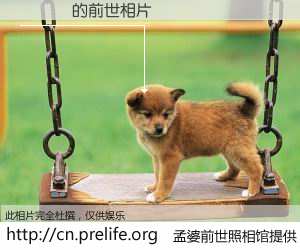 #孟婆前世照相馆# 【鏉庣惏 的前世相片】我们都曾从奈何桥上走过，喝下三碗忘川之水烹煮的孟婆汤，忘却了前尘旧事。孟婆前世照相馆，保存着你前世的数码相片。鏉庣惏 的前世相片，有图有真相：