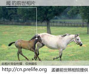 #孟婆前世照相馆# 【闻 的前世相片】我们都曾从奈何桥上走过，喝下三碗忘川之水烹煮的孟婆汤，忘却了前尘旧事。孟婆前世照相馆，保存着你前世的数码相片。闻 的前世相片，有图有真相：