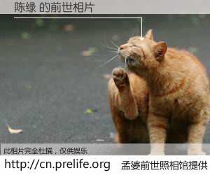 #孟婆前世照相馆# 【陈绿 的前世相片】我们都曾从奈何桥上走过，喝下三碗忘川之水烹煮的孟婆汤，忘却了前尘旧事。孟婆前世照相馆，保存着你前世的数码相片。陈绿 的前世相片，有图有真相：