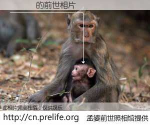 #孟婆前世照相馆# 【黃憶憶 的前世相片】我们都曾从奈何桥上走过，喝下三碗忘川之水烹煮的孟婆汤，忘却了前尘旧事。孟婆前世照相馆，保存着你前世的数码相片。黃憶憶 的前世相片，有图有真相：