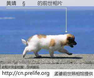 #孟婆前世照相馆# 【黄靖𧙗 的前世相片】我们都曾从奈何桥上走过，喝下三碗忘川之水烹煮的孟婆汤，忘却了前尘旧事。孟婆前世照相馆，保存着你前世的数码相片。黄靖𧙗 的前世相片，有图有真相：