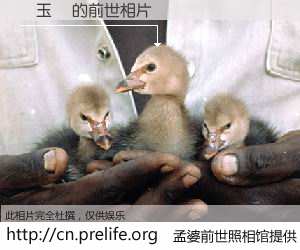 #孟婆前世照相馆# 【龍玉蓮 的前世相片】我们都曾从奈何桥上走过，喝下三碗忘川之水烹煮的孟婆汤，忘却了前尘旧事。孟婆前世照相馆，保存着你前世的数码相片。龍玉蓮 的前世相片，有图有真相：