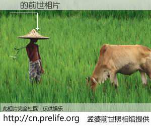#孟婆前世照相馆# 【 的前世相片】我们都曾从奈何桥上走过，喝下三碗忘川之水烹煮的孟婆汤，忘却了前尘旧事。孟婆前世照相馆，保存着你前世的数码相片。 的前世相片，有图有真相：
