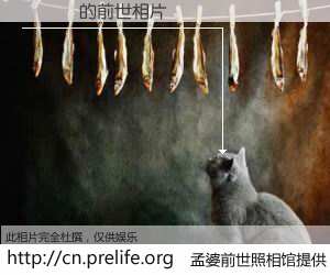 #孟婆前世照相馆# 【��Ӣ 的前世相片】我们都曾从奈何桥上走过，喝下三碗忘川之水烹煮的孟婆汤，忘却了前尘旧事。孟婆前世照相馆，保存着你前世的数码相片。��Ӣ 的前世相片，有图有真相：